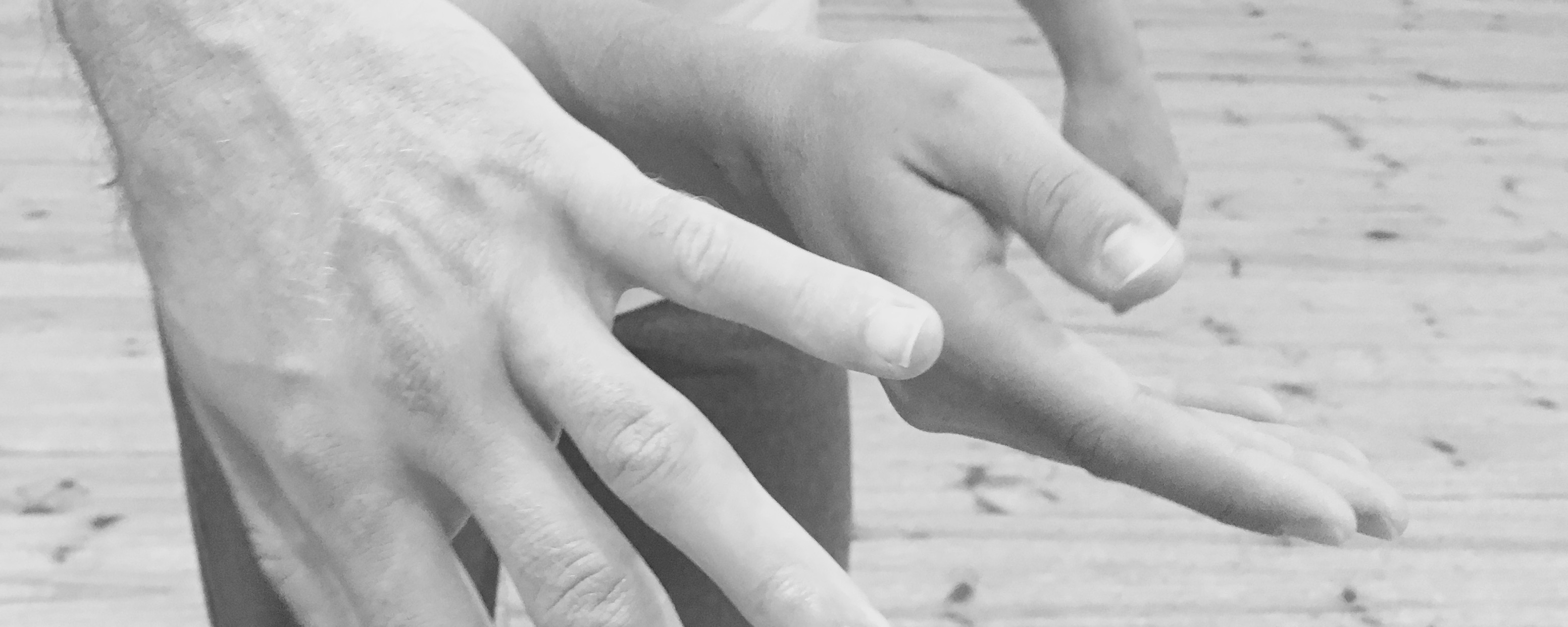 IMG_4260 (1) IMG_4260 (1)